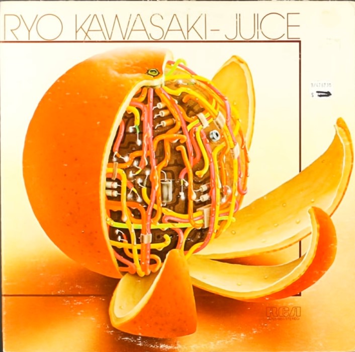 Ryo Kawasaki - Juice